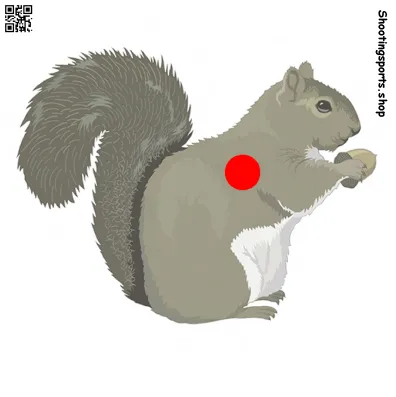 [SSSTGT0020C] Squirrel Target - Paper 17cm x 17cm (1)