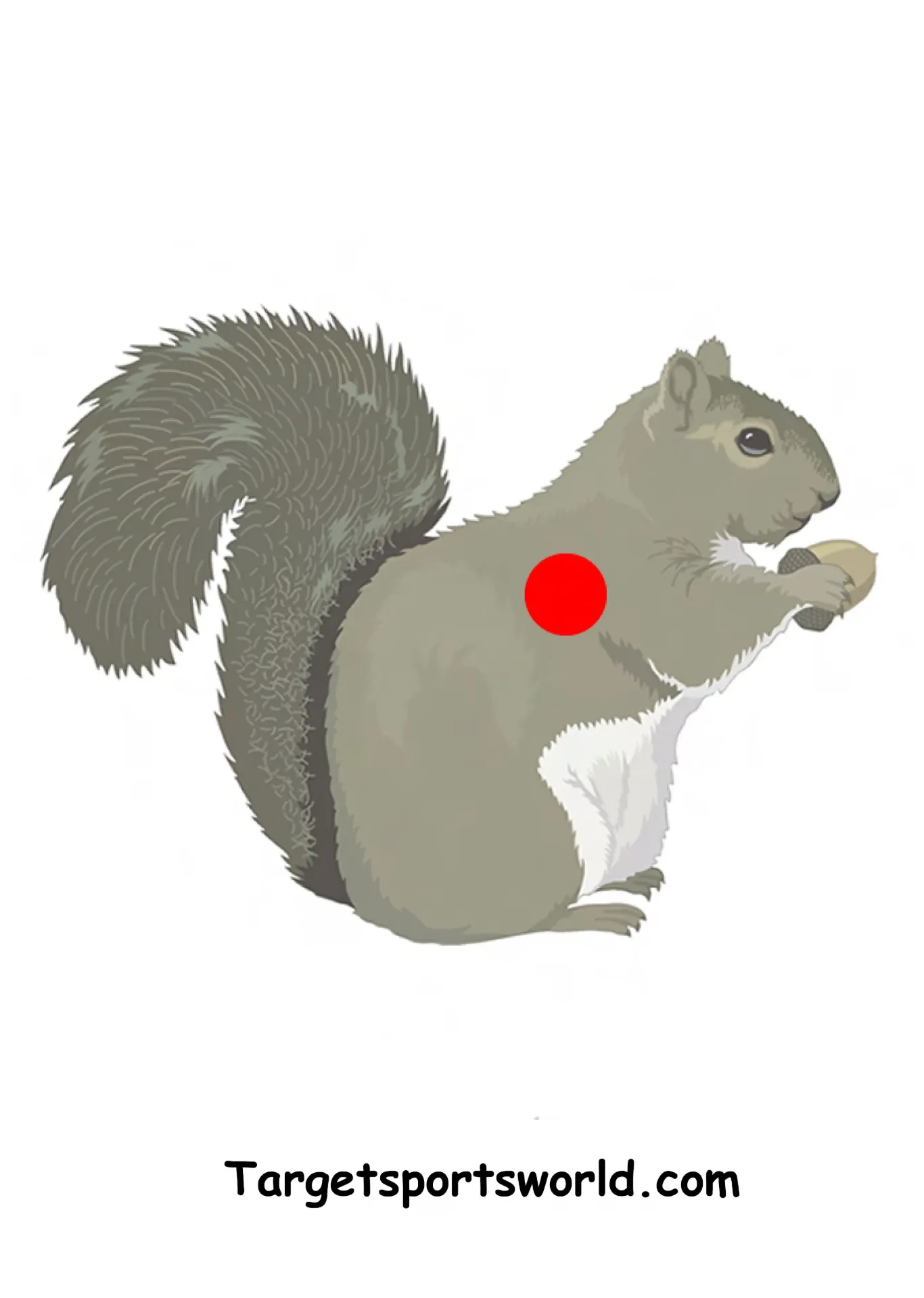 [SSSTGT0020D] Squirrel Target - Paper A4 (1)